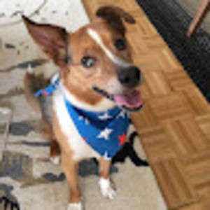 Meet your Posher, Stacy